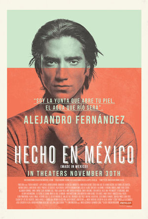 HechoenMexico-700.jpg