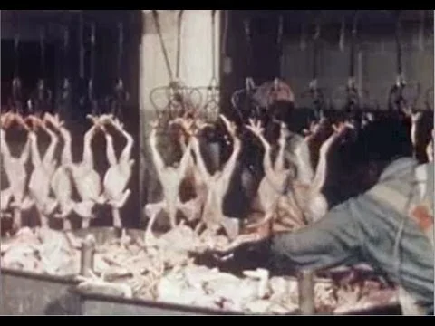 Post World War II poultry processing facility.