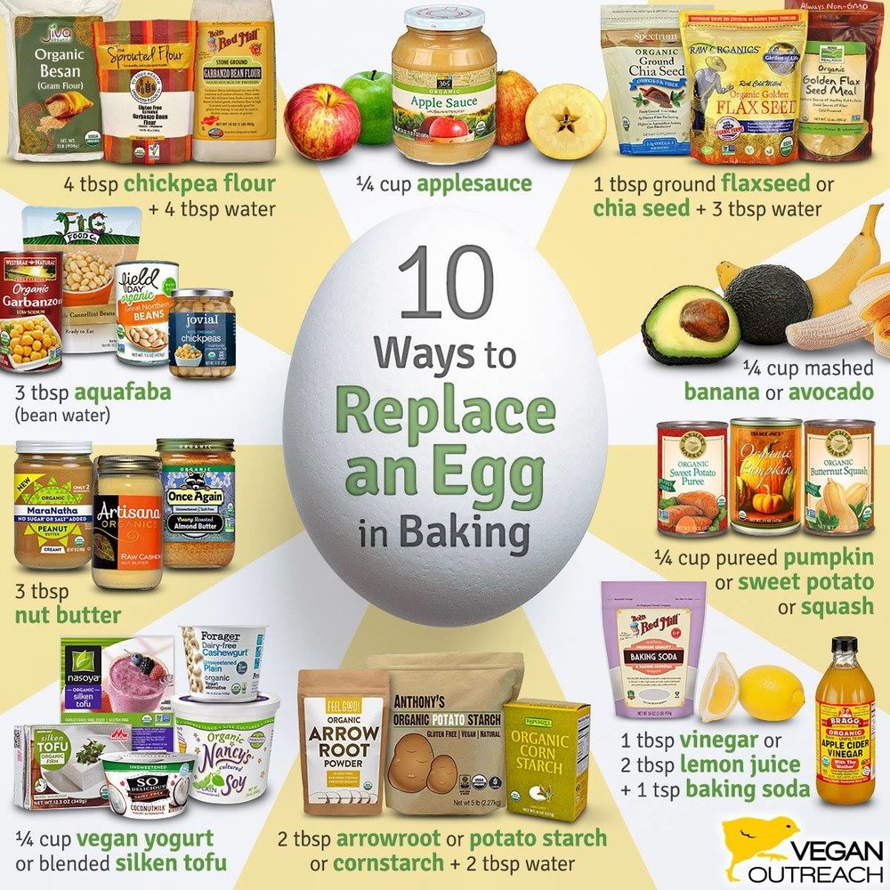 Egg Alternatives Egg Truth Egg Alternatives Egg Truth