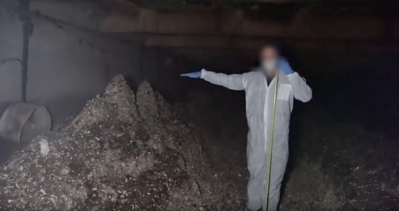 Image shows accumulated manure in pits are approximately five to six feet high.