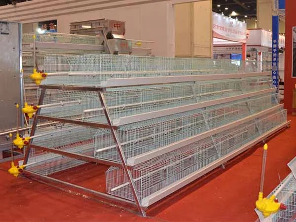 A-type-poultry-chick-cage.jpg