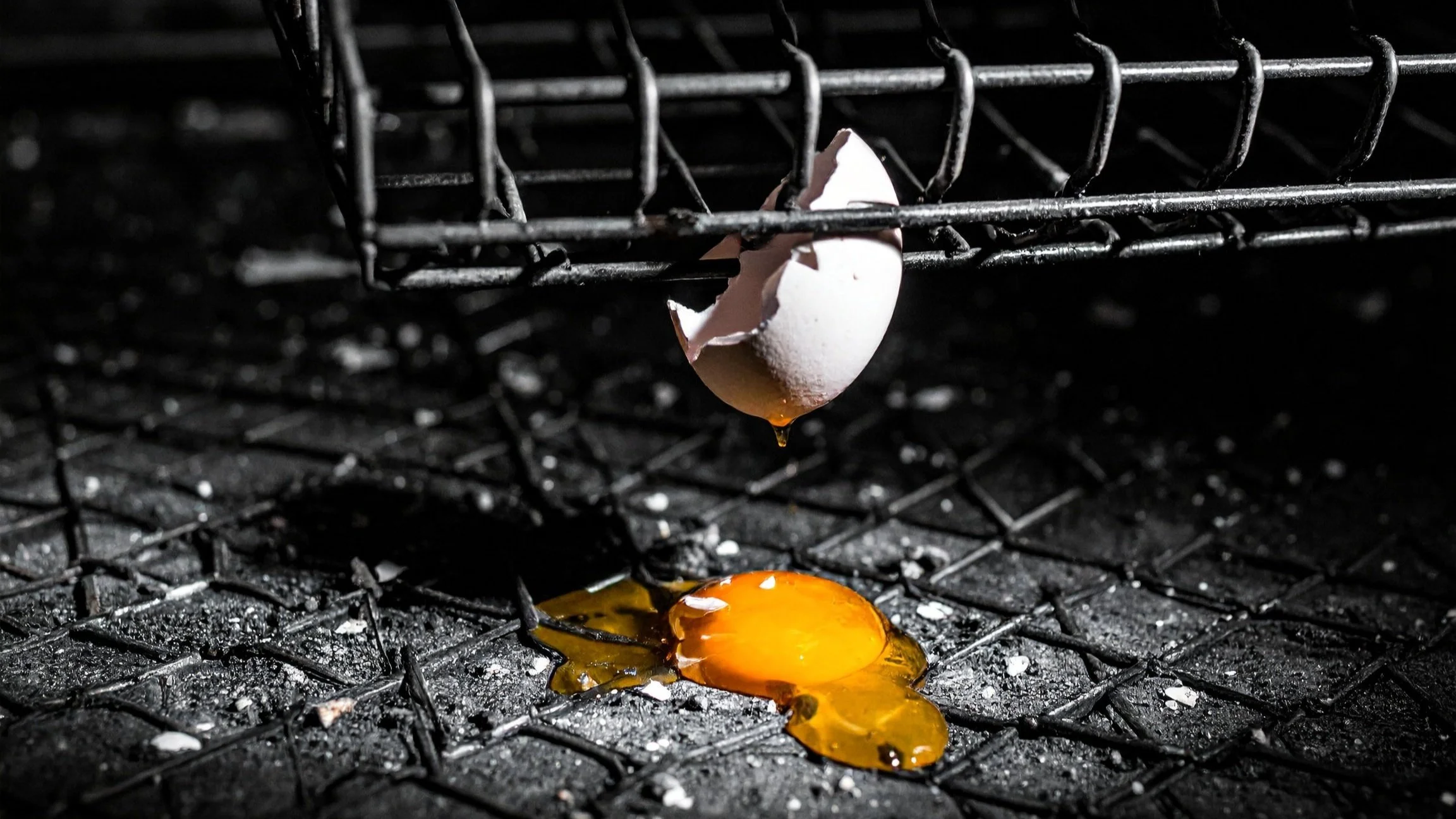 Debunking the Most Common Egg Industry Myths – Part 2