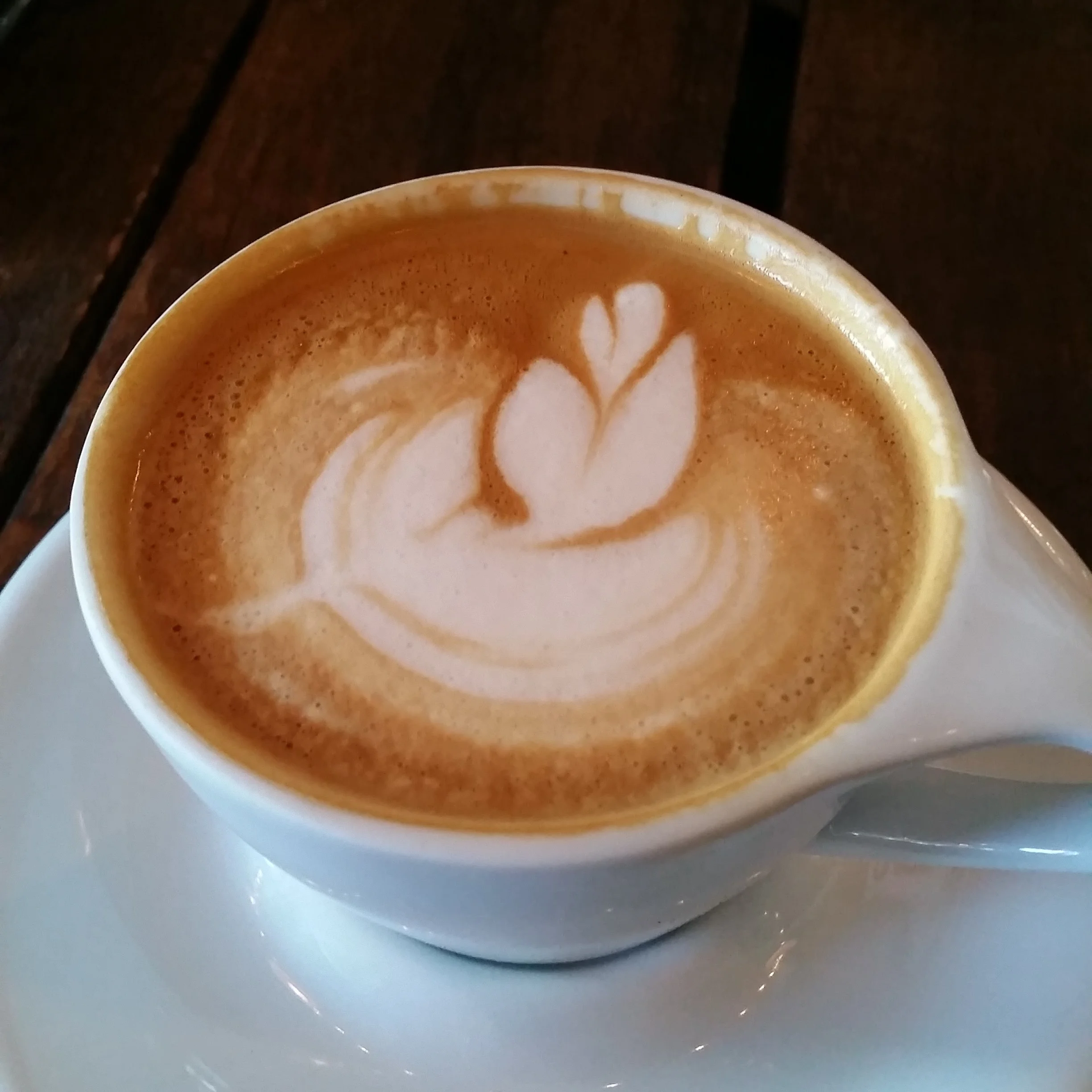 Capp3.jpg