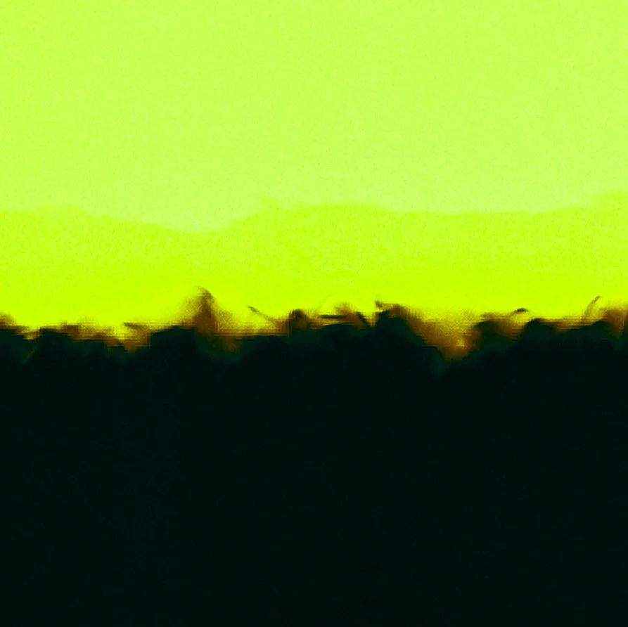 rothko_lime and black_closeup.jpg