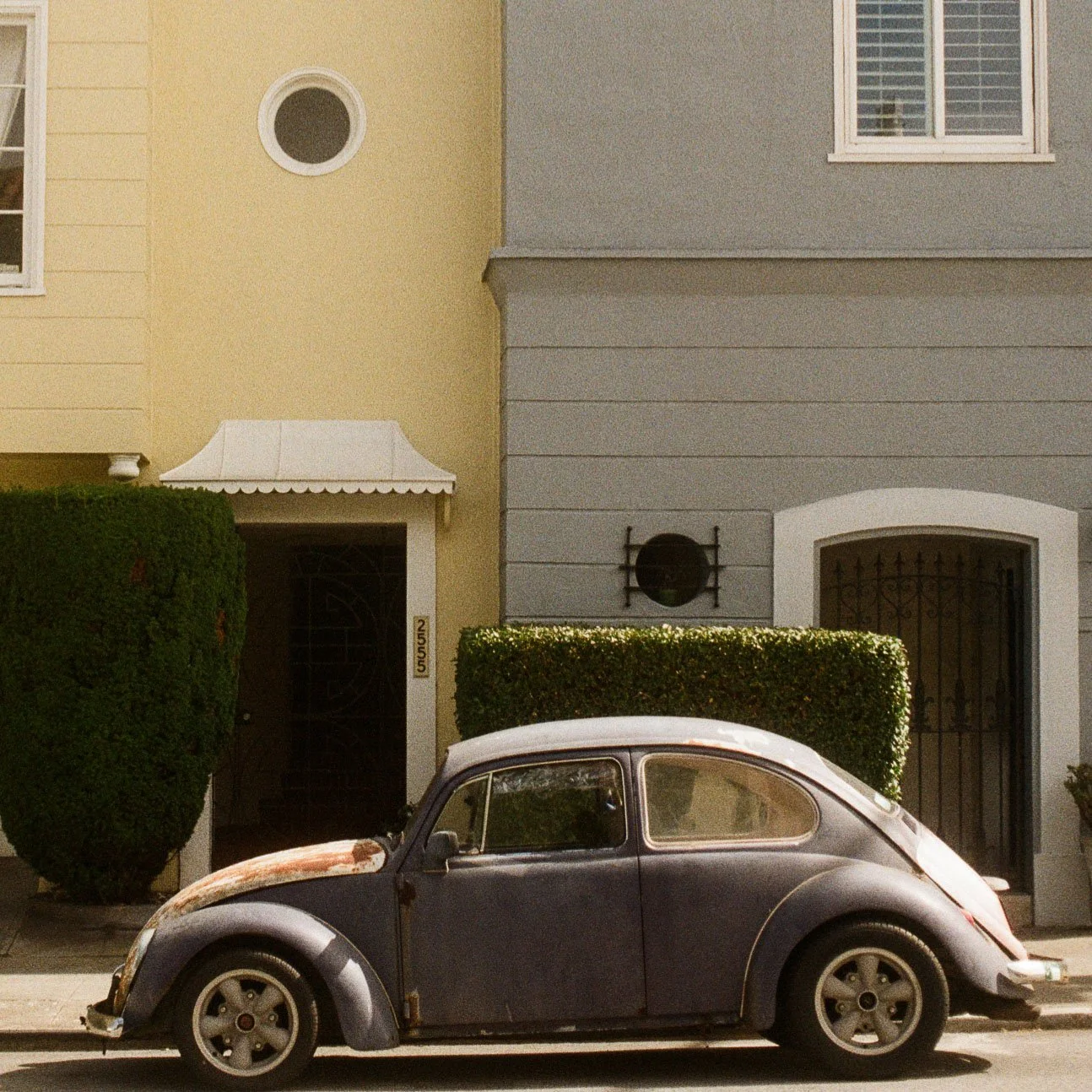 sfBUG_closeup.jpg