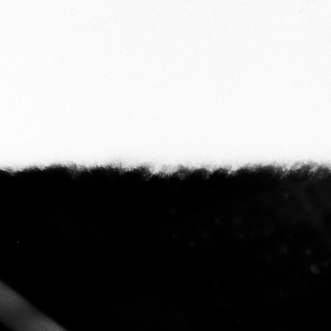 rothko_blackandwhite_closeup.jpg
