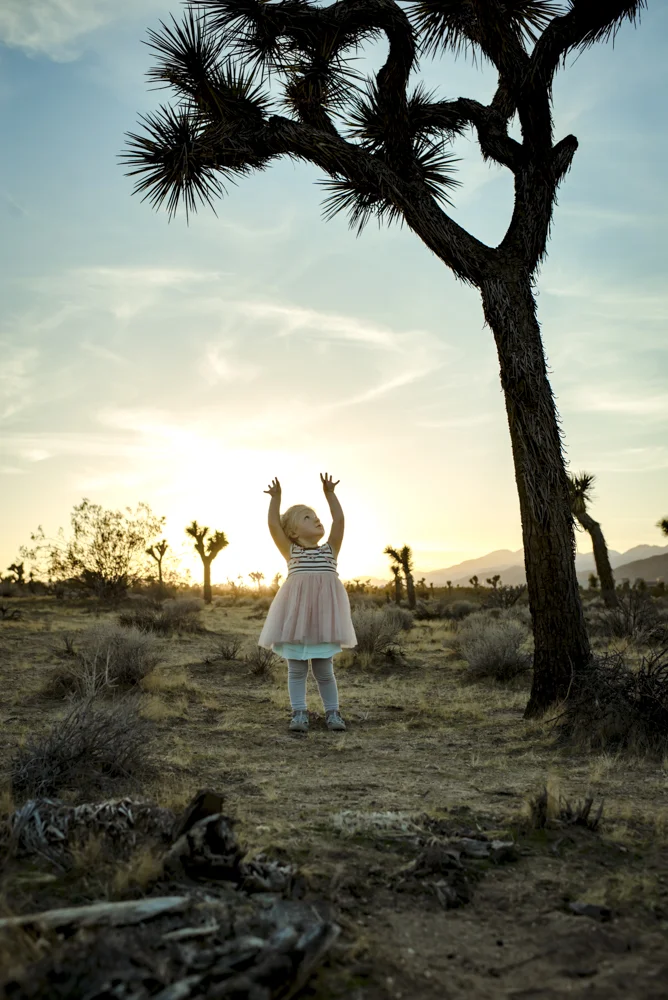 The Desert