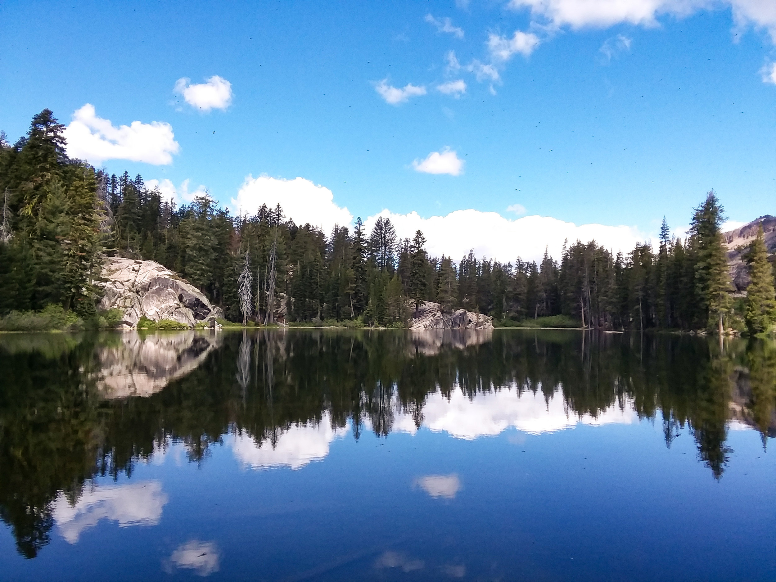 20180618_104129.jpg