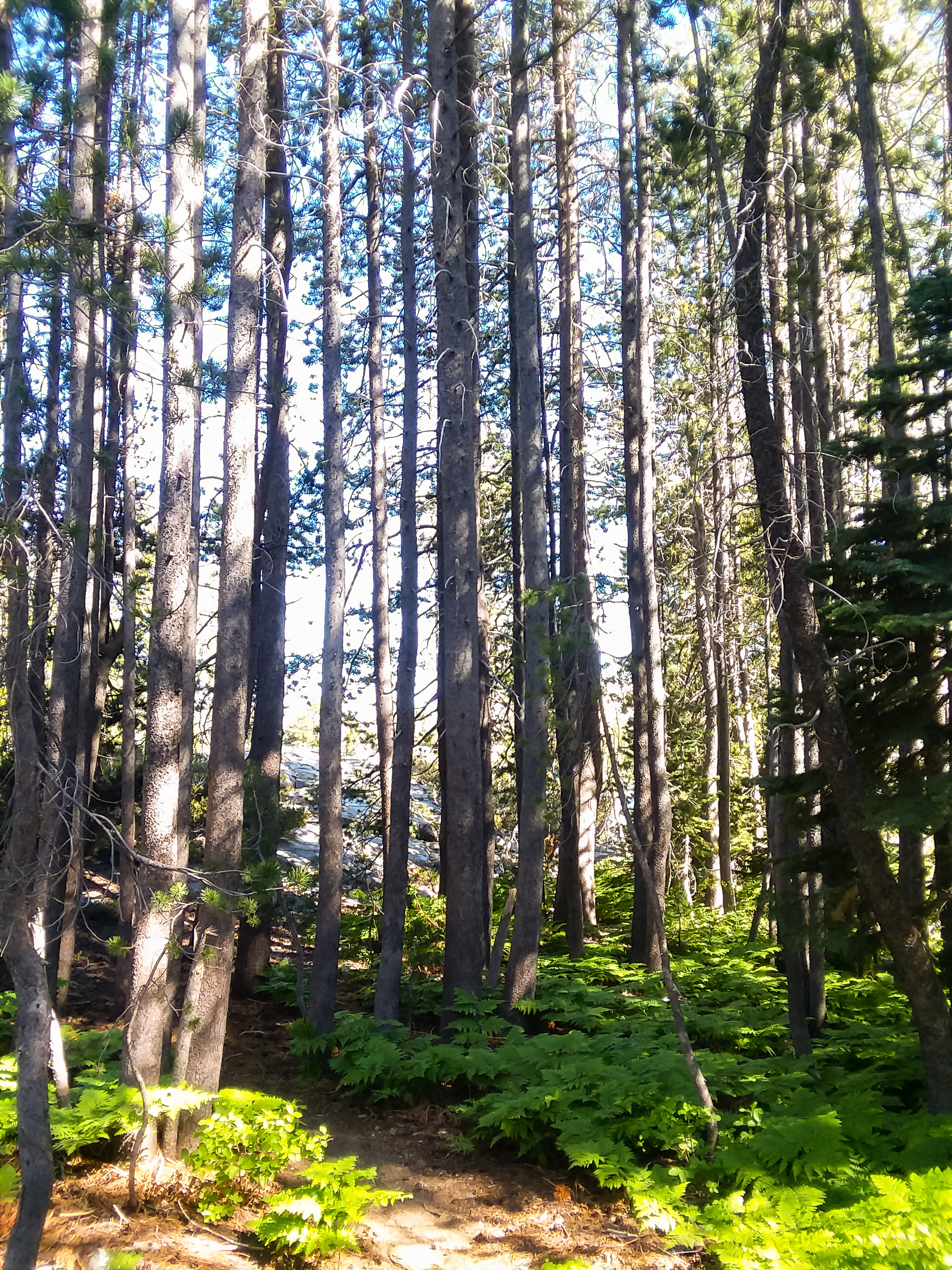 20180621_163617.jpg
