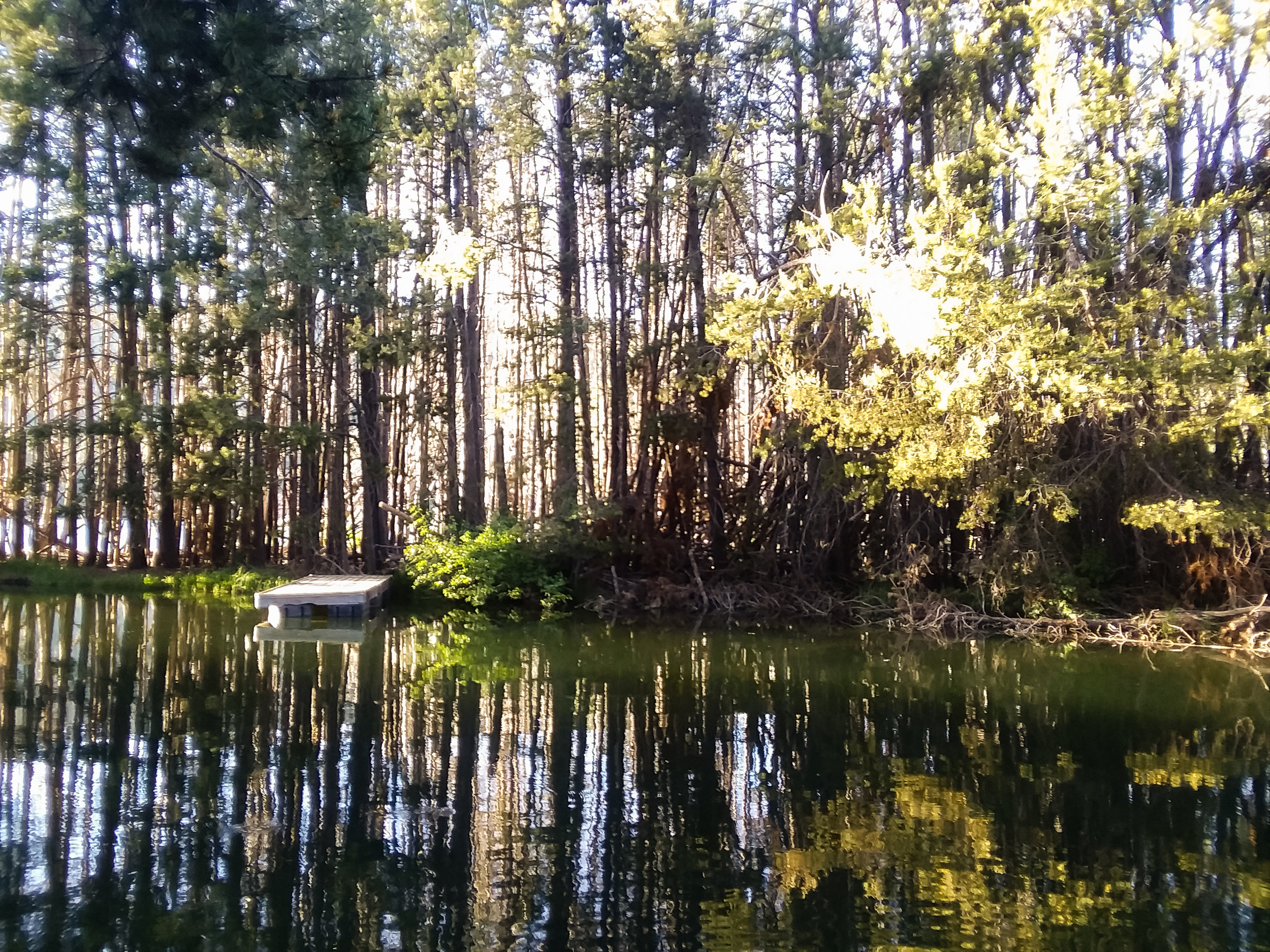 20180622_193011.jpg