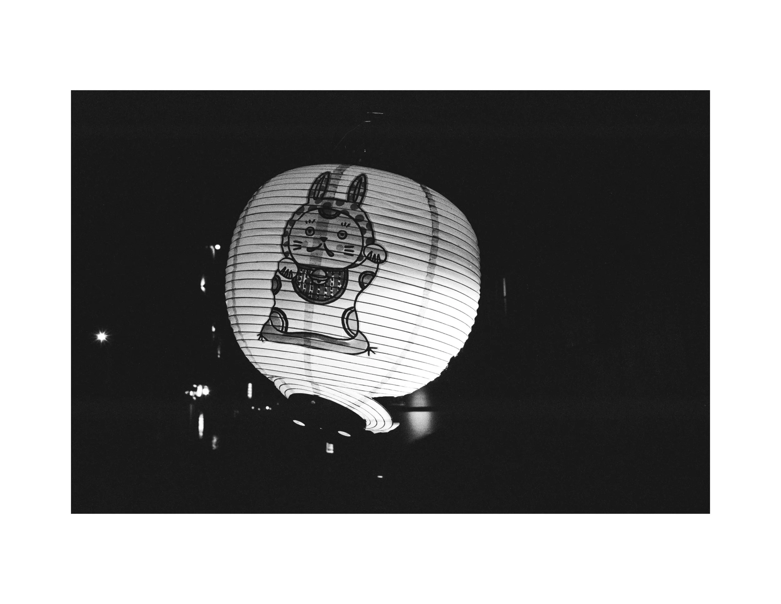 kitty bunny lantern.jpg
