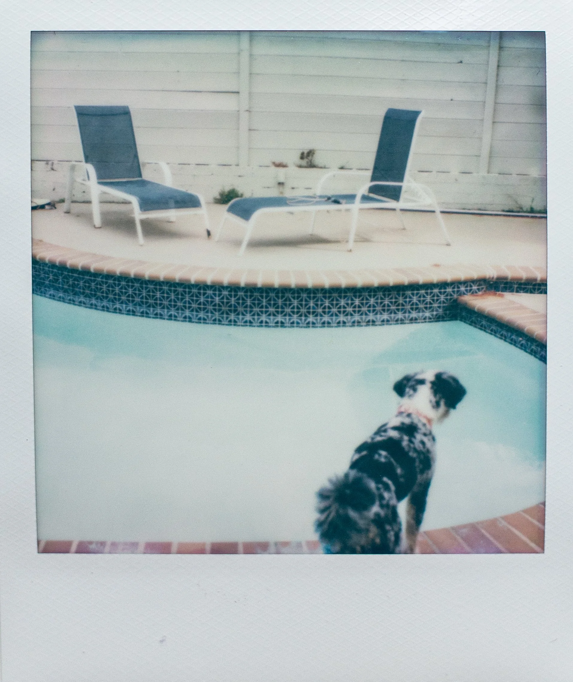 pools-8.jpg