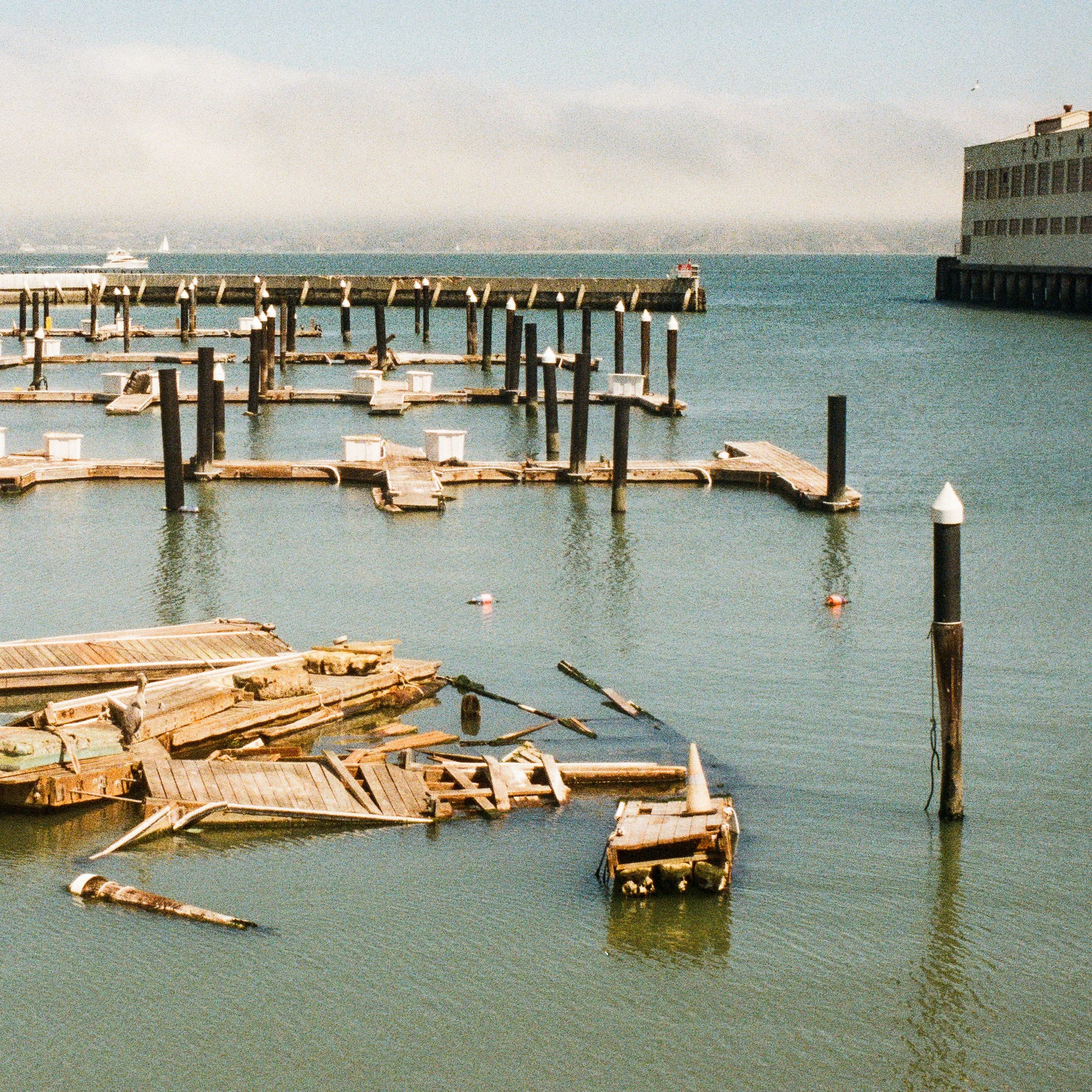 fort mason_sfseries_closeup.jpg
