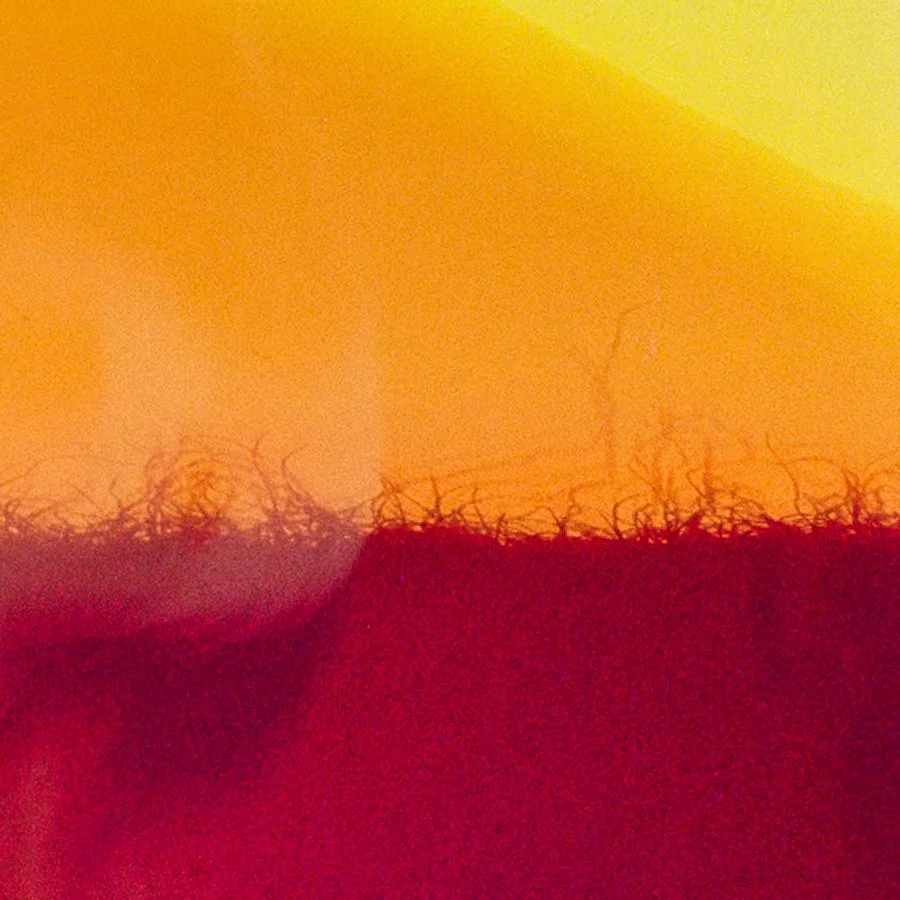 rothko_sunset_closeup.jpg