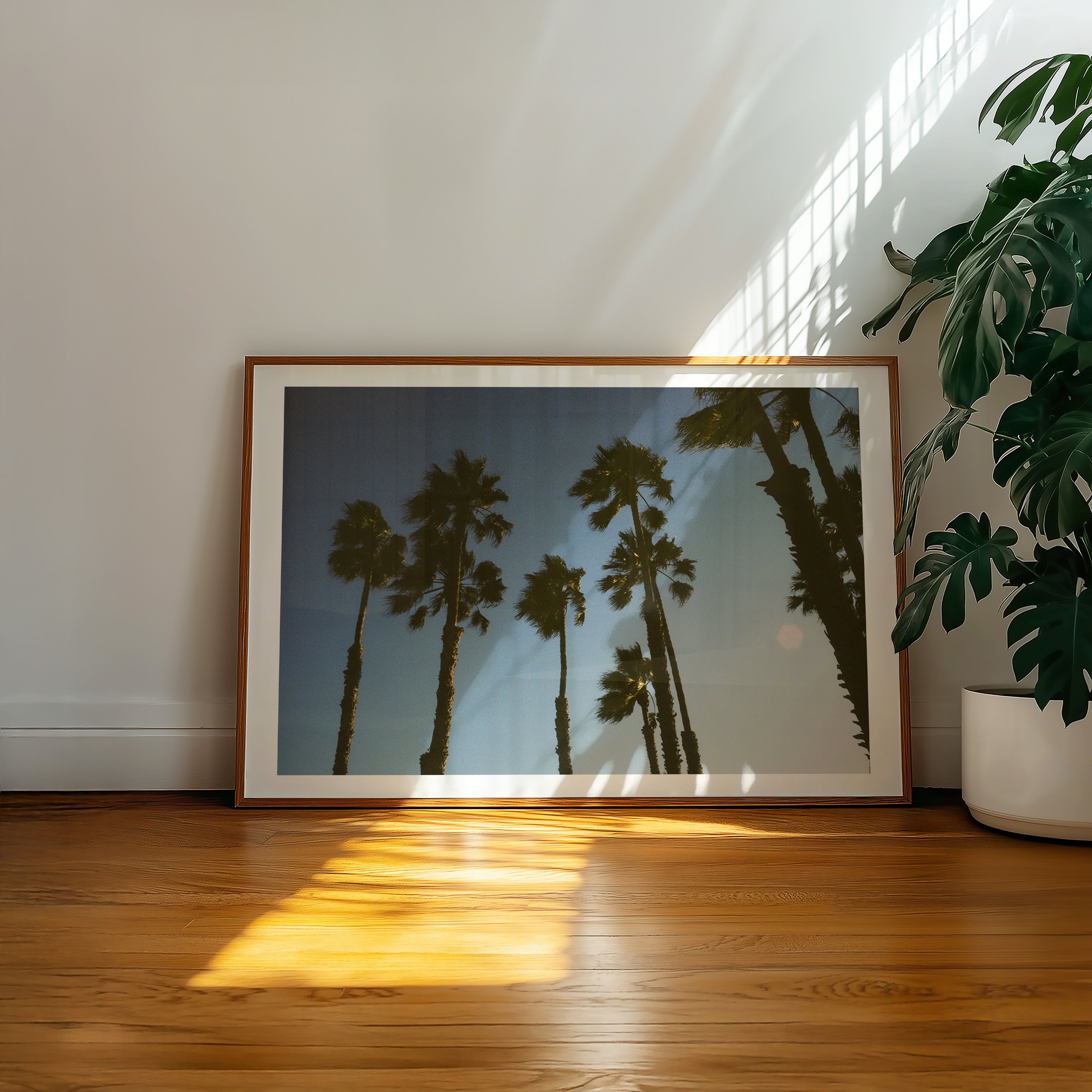 palmsNo.2_SoCal Series_Mockup.jpg