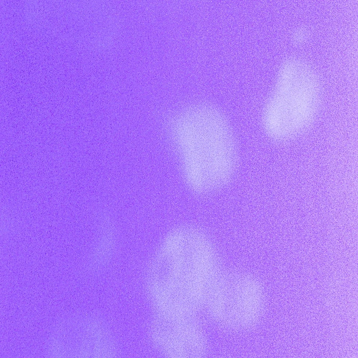rothko_lavender and white_closeup.jpg
