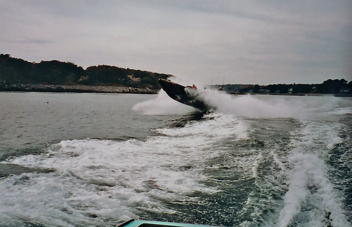 ribcraft7.jpg