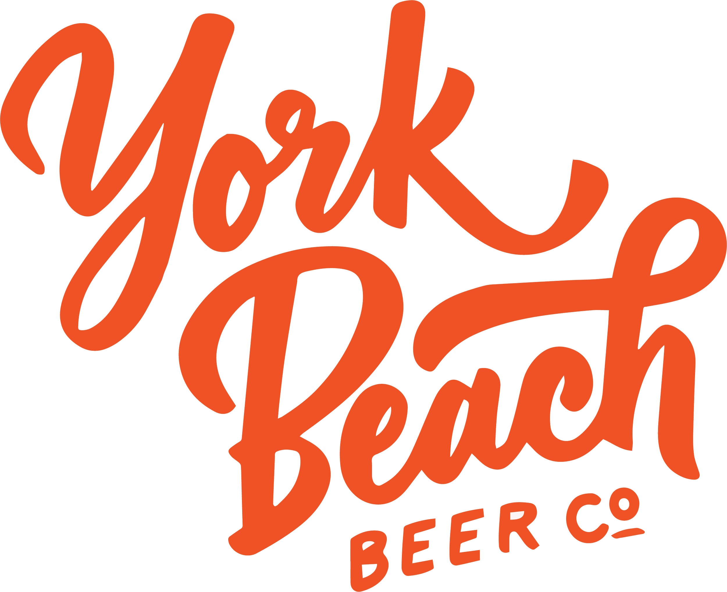 York Beech Beer.png