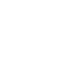 31SocietyofJanus.png