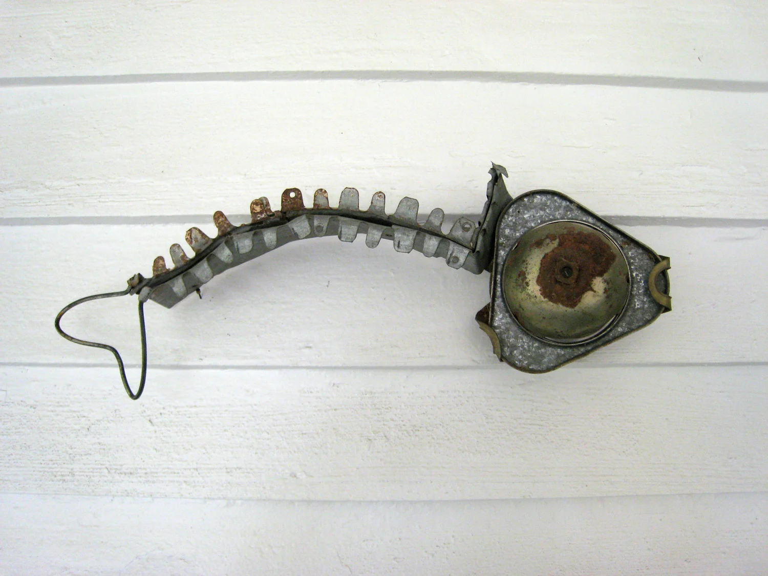 Junk Fish