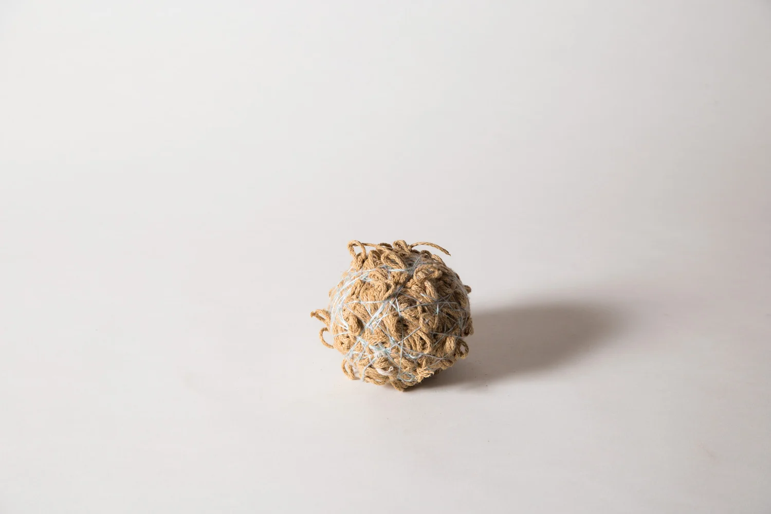 brown-rope-spore.jpg