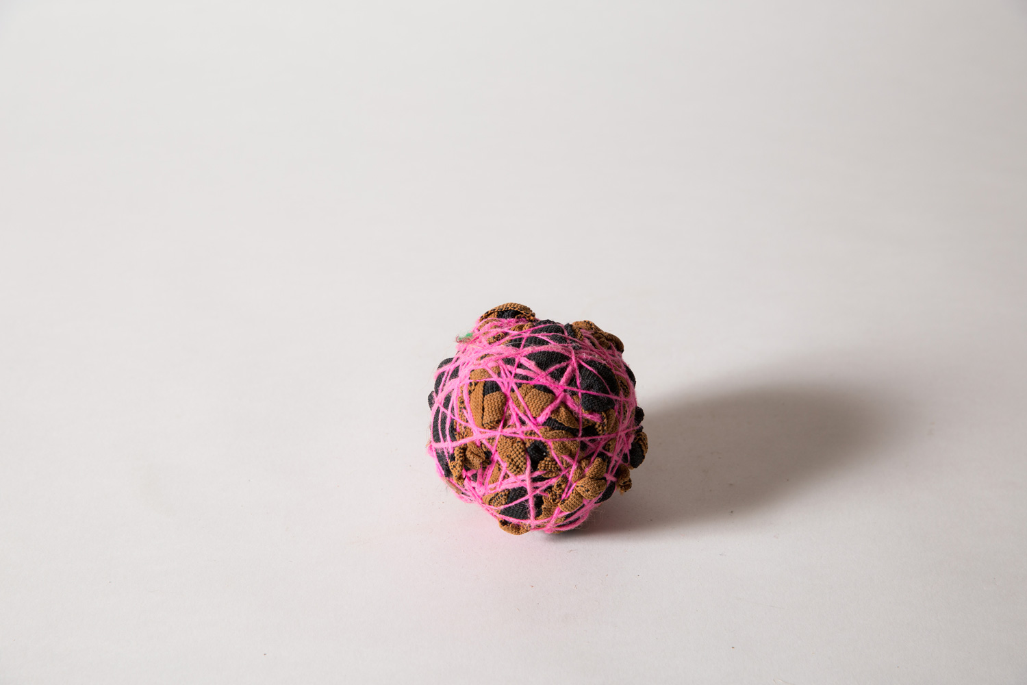 brown-strap-spore.jpg