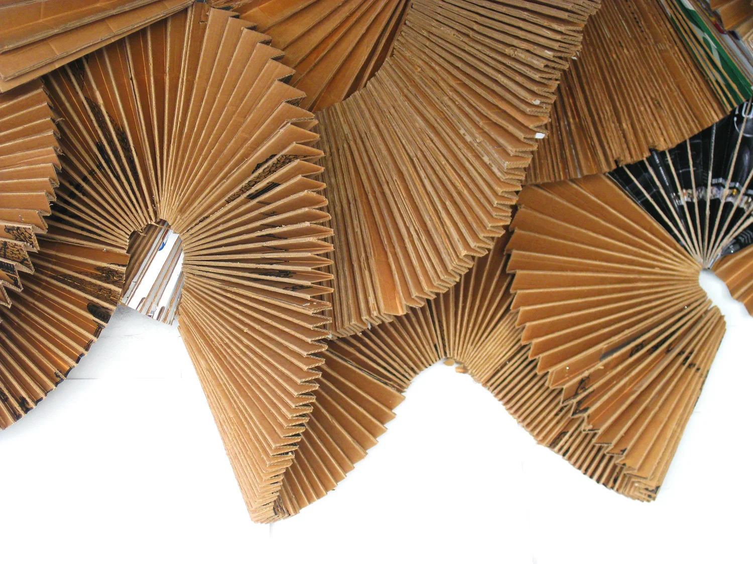 Variable (detail)