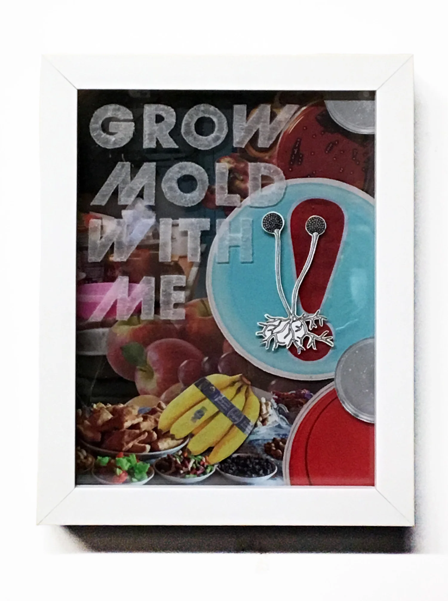 Grow Mold With Me
