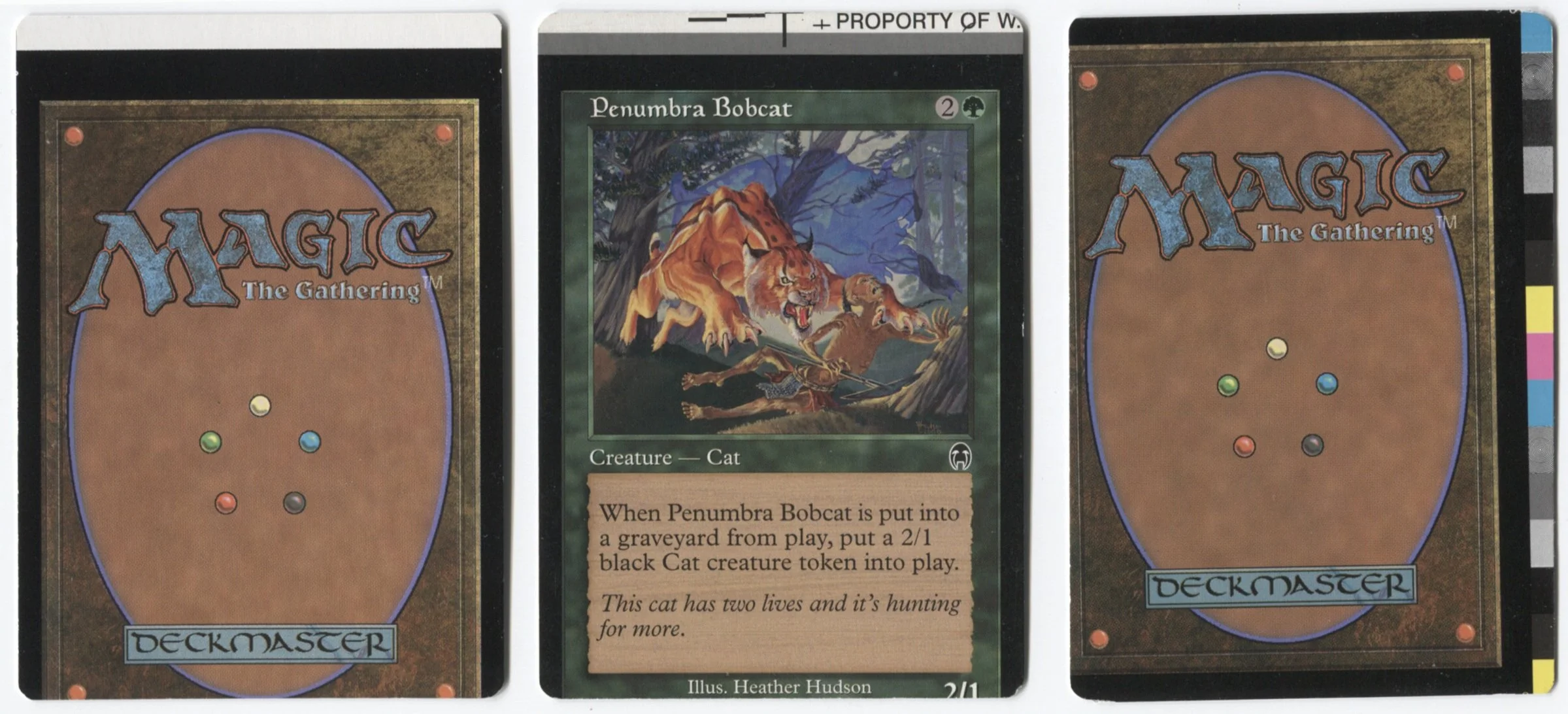 Beginners Guide to Misprints