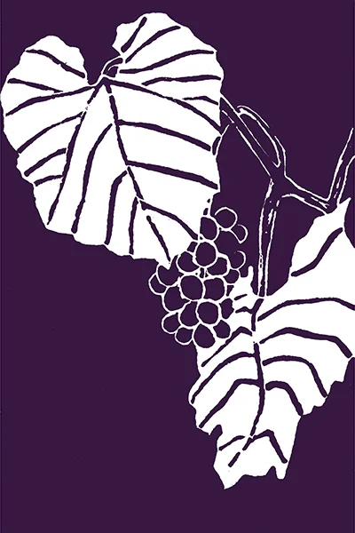 Wild Grape (Color)