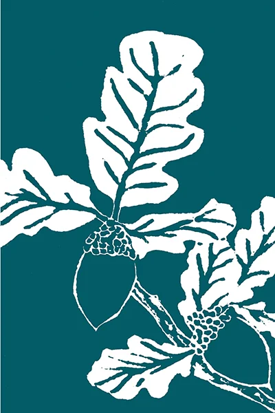 Blue Oak (in Color)