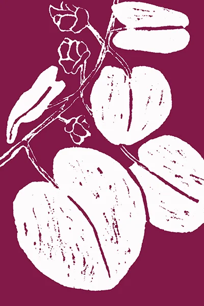 Redbud (in Color)