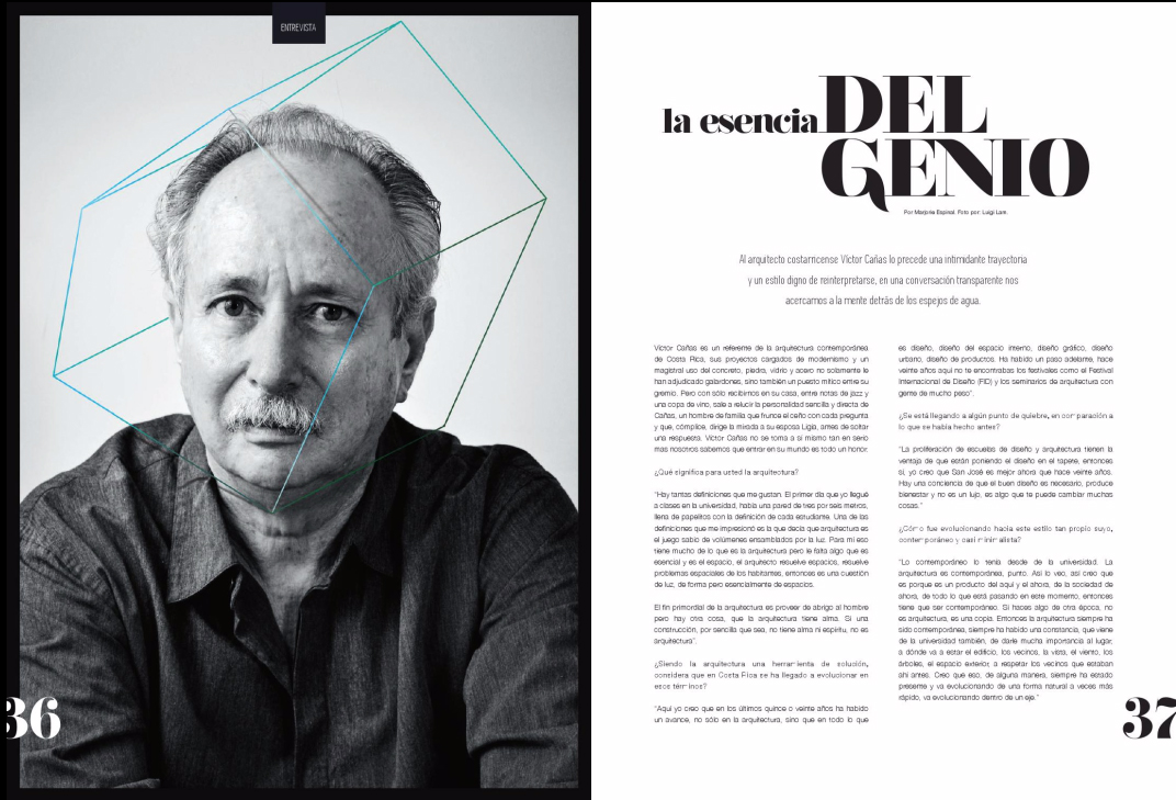 Revista VED 2014