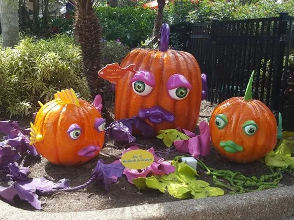 SeaWorld's Halloween Spooktacular runs through October 29th on the weekends. Fun for the entire family!