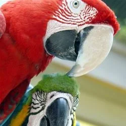 November 11th: Wild Zoo Art at the Sanford Zoo, 10am-noon. Reservation required, $12-15.