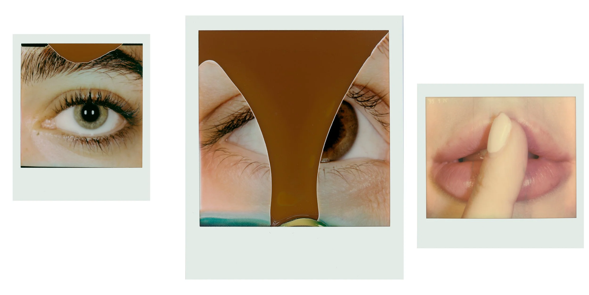 5_macro_pola.jpg
