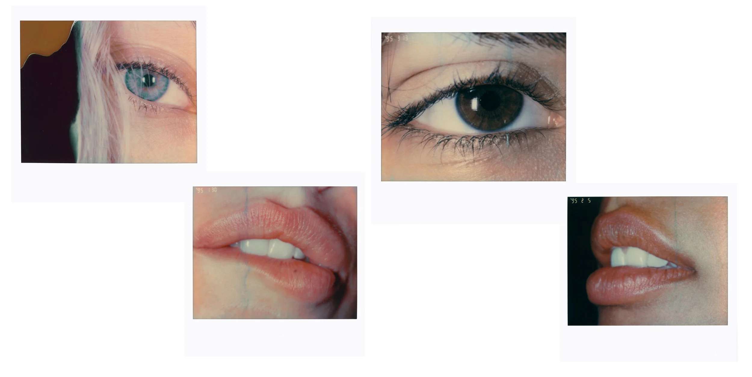 10_macro_pola.jpg
