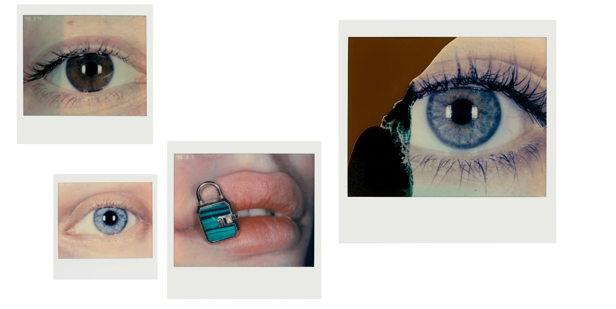 15_macro_pola.jpg