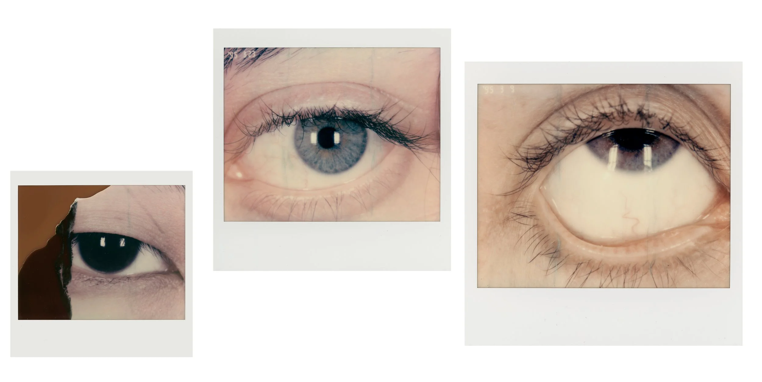 18_macro_pola.jpg
