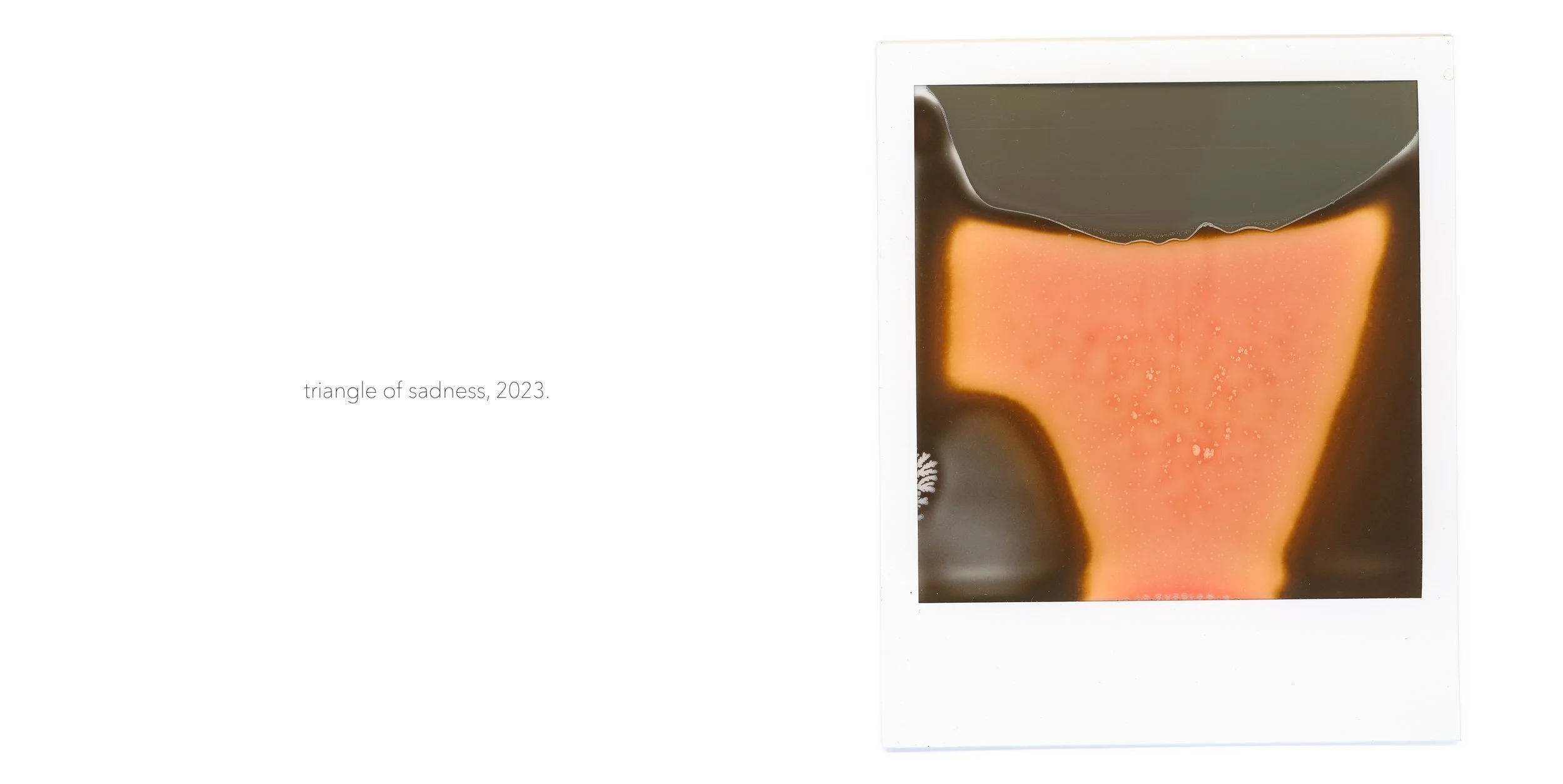 58_ego.jpg