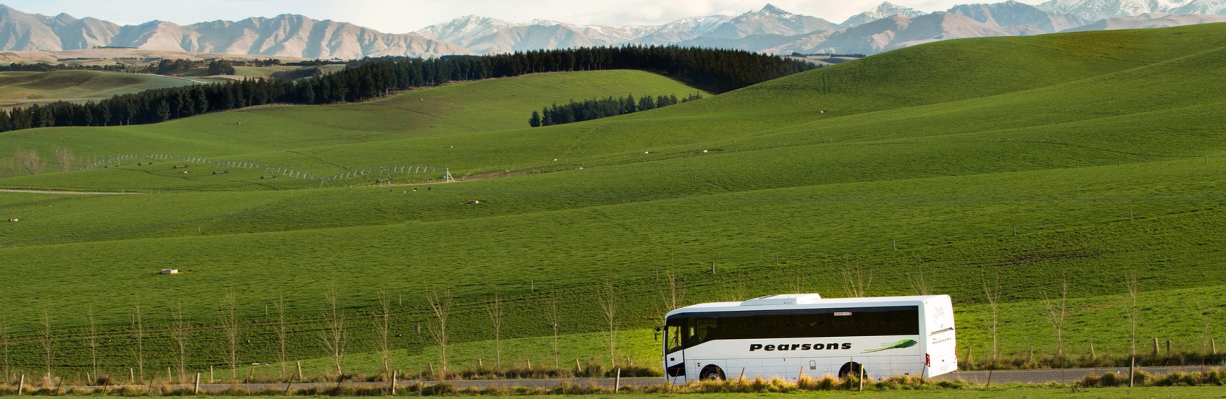 Ashburton+Pearsons+Header.jpg