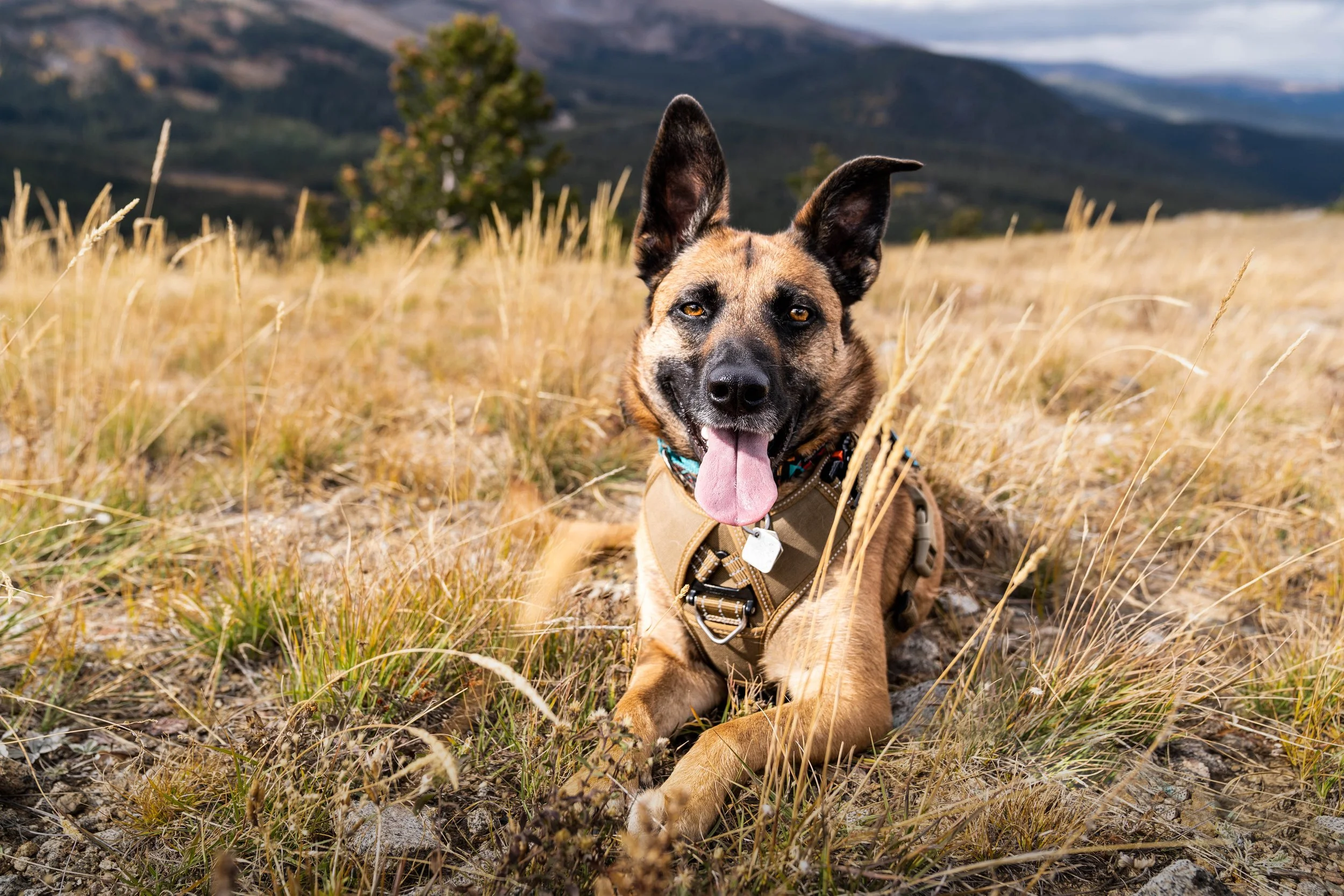 _DSC5159-Edit.jpg