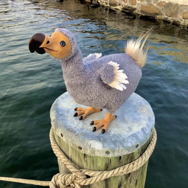  Oxford the Dodo, original character 