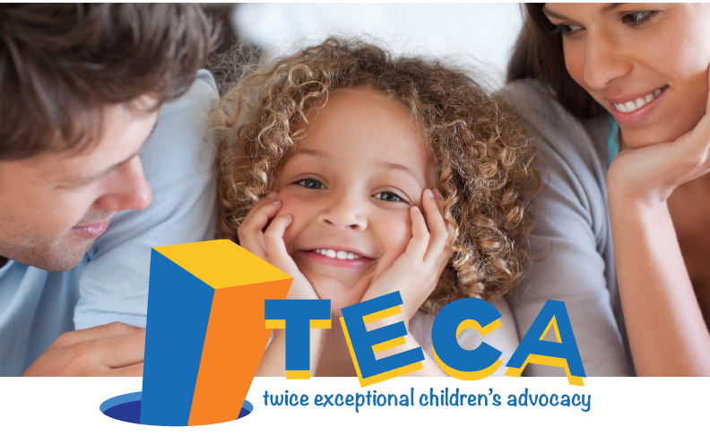 teca-conf-1.png