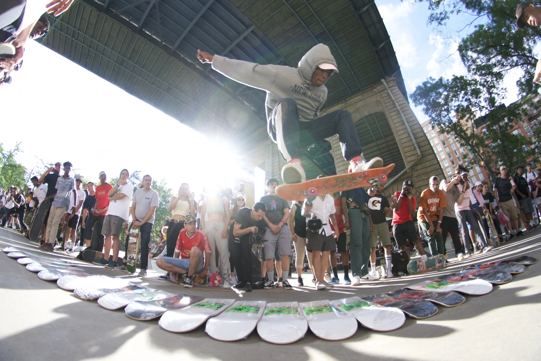 ollie copy.jpg