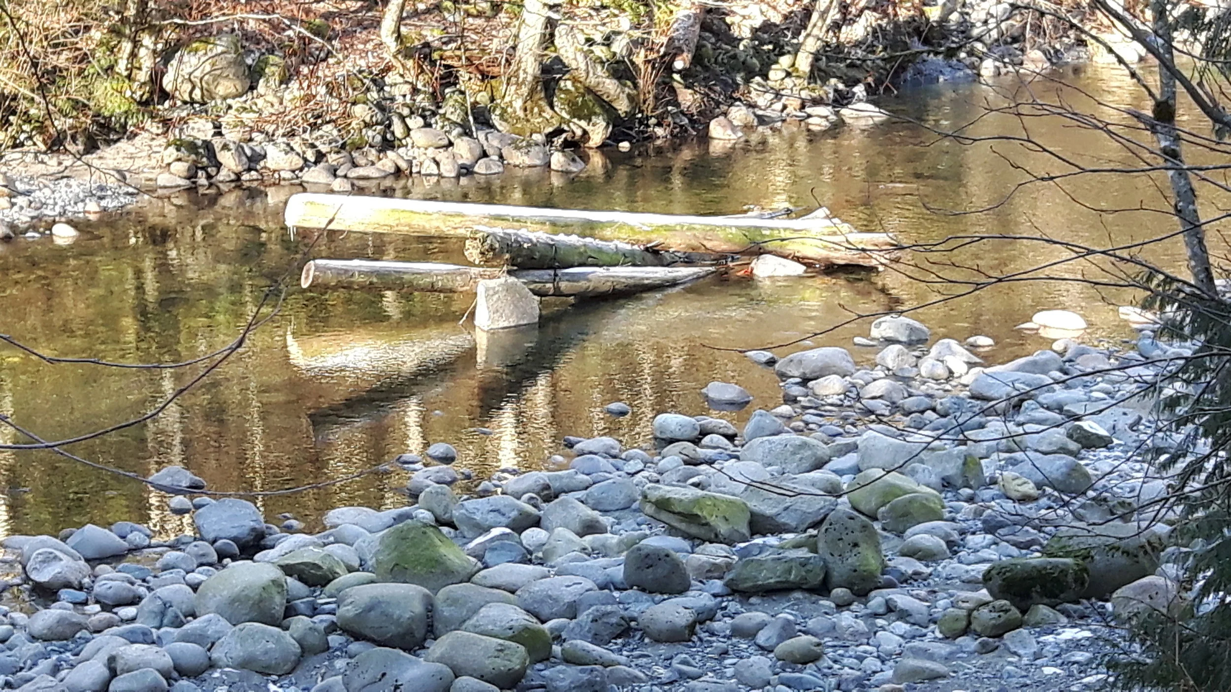 20170111_113221.jpg
