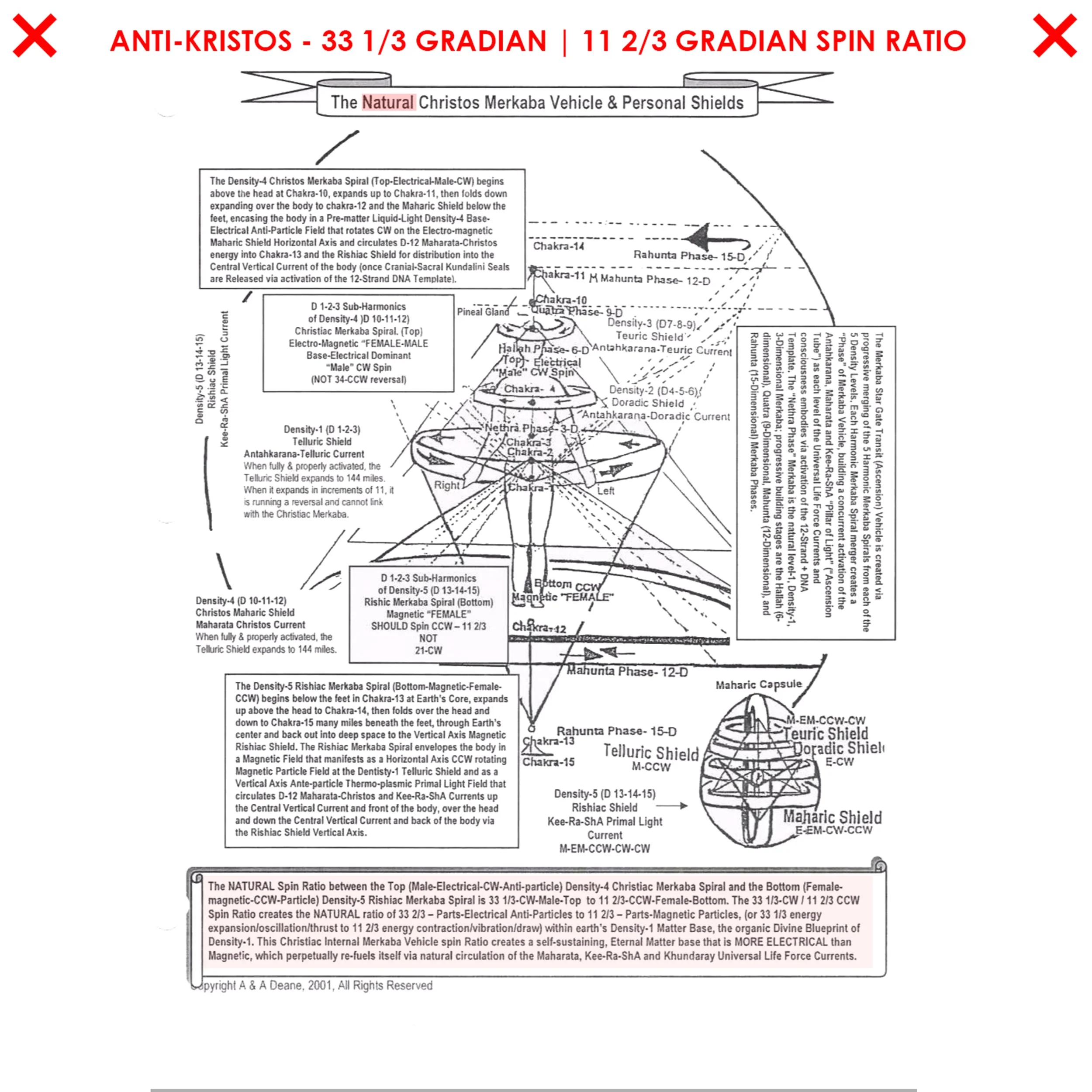 34_21 SPIN_2.jpg