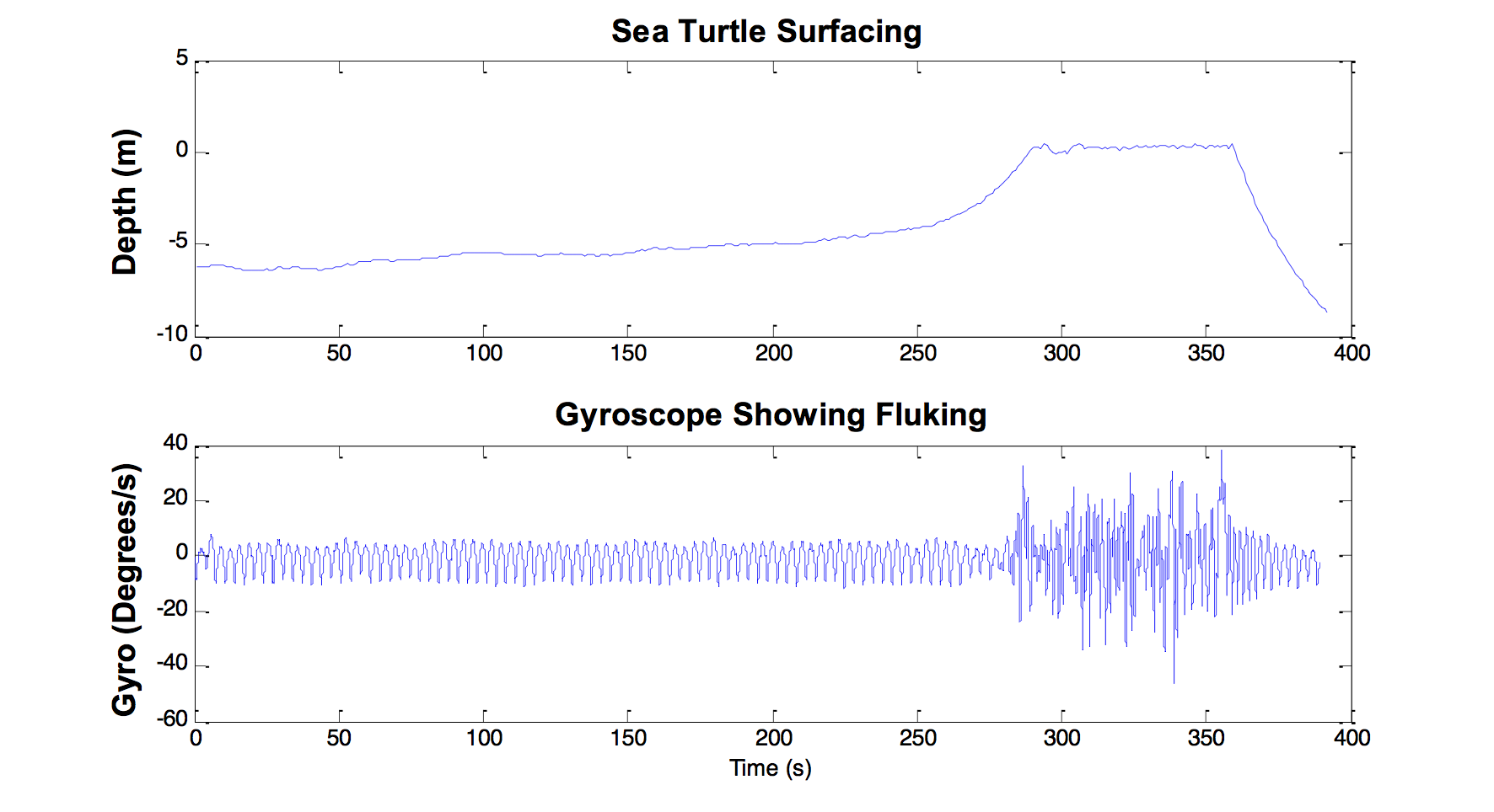 OpenTagSeaTurtle.png