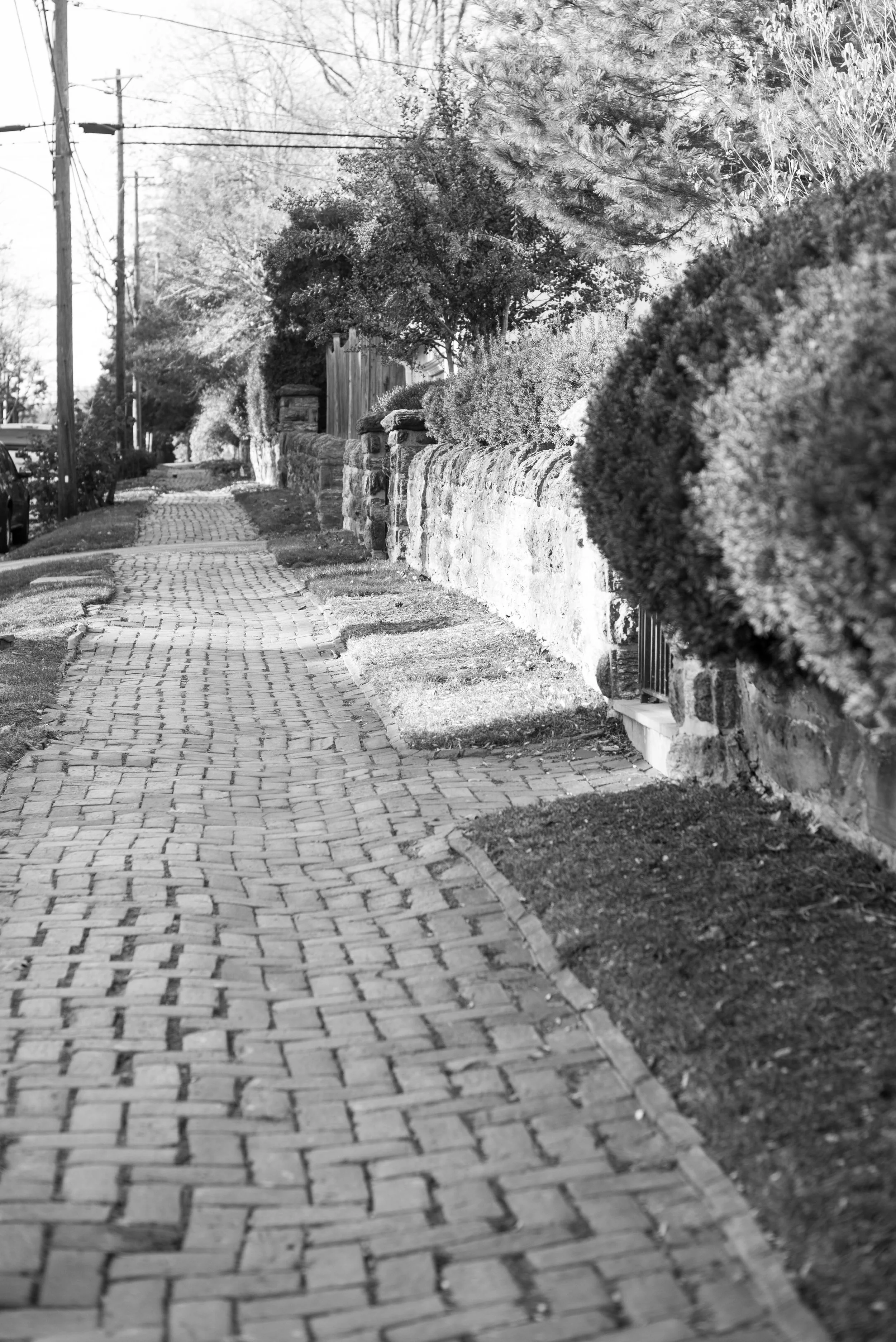 DSC_6905