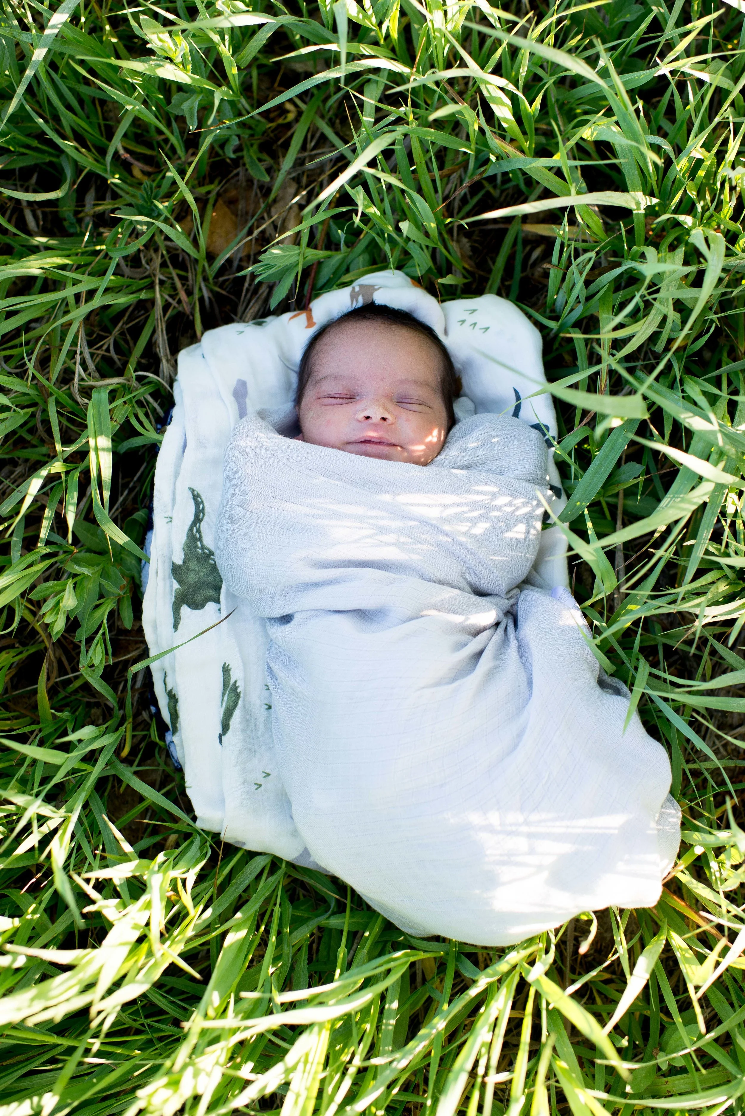 colorado lifestyle family photographer